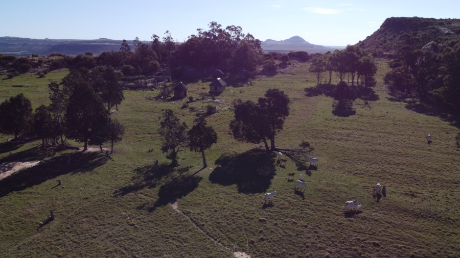 Commercial Property for Sale in Paul Roux Free State